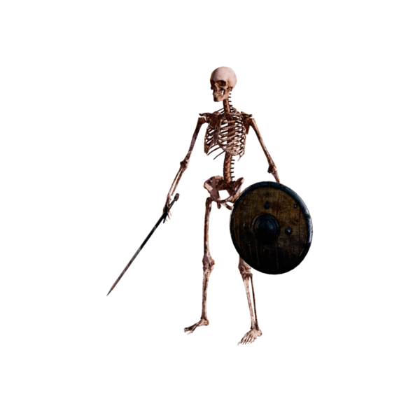 File:Skeleton Guardman Elite.png
