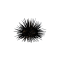Thumbnail for version as of 15:40, 21 August 2026