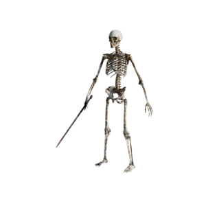 Skeleton Footman .png