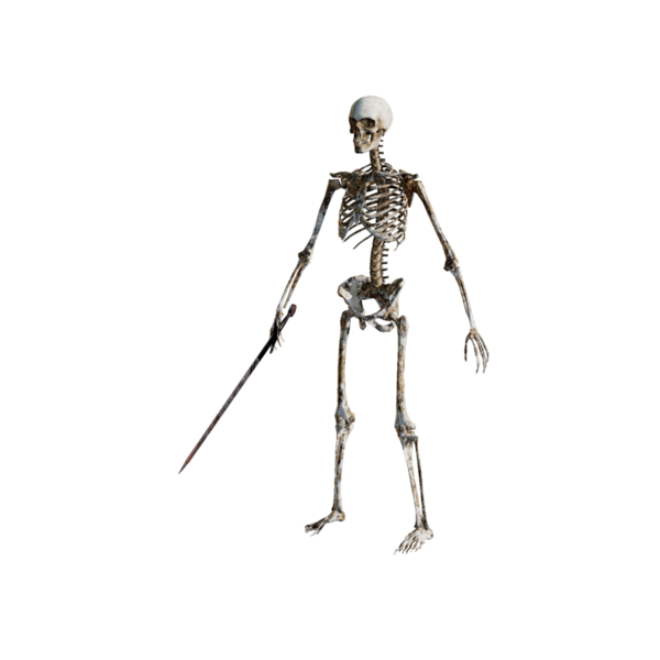 File:Skeleton Footman .png