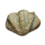 Seashell.png