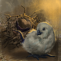 Cockatrice Merchant
