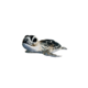 Baby Turtle.png