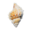 Conch Shell.png