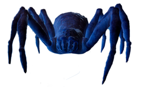 Ice Spider.png