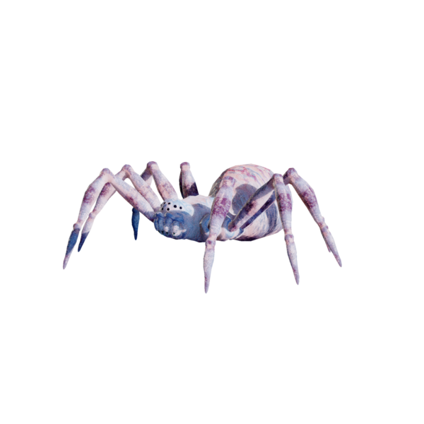 File:Ice Spider.png