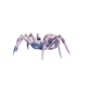 Ice Spider.png