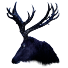 Head of the Midnight Stag.png