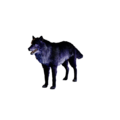 Thumbnail for version as of 15:15, 21 August 2026