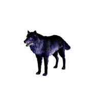 Dire Wolf Nightmare.png