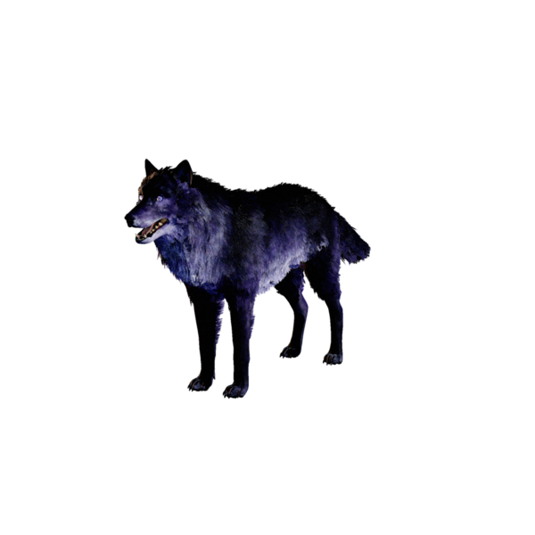 File:Dire Wolf Nightmare.png