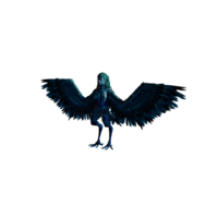 Sea Harpy.png