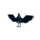 Sea Harpy.png