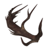 Wendigo's Antler Fragment.png