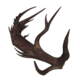 Wendigo's Antler Fragment.png