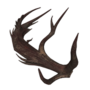 Wendigo's Antler Fragment